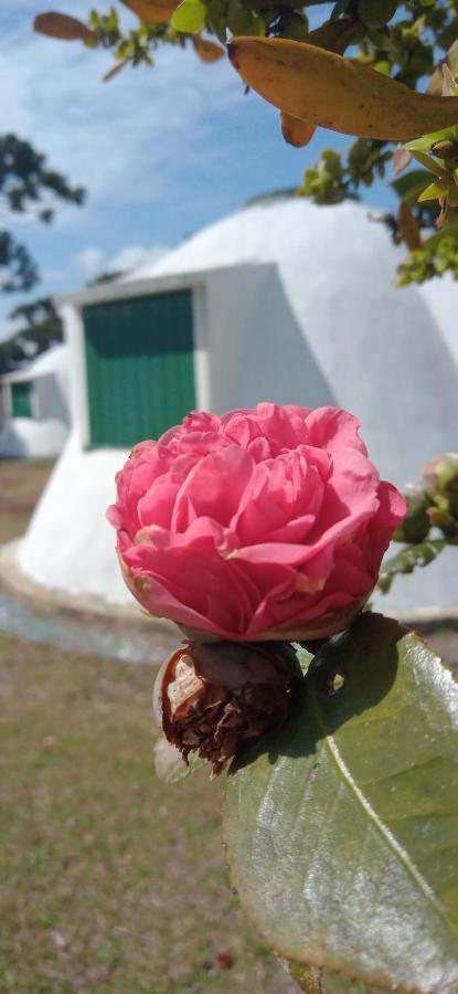 Pousada Igloo กังโปสดูจอร์เดา ภายนอก รูปภาพ